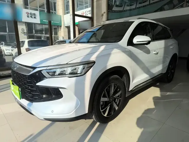 BYD Song Pro New Energy 2024 Glory Edition DM-i 71KM Pilot