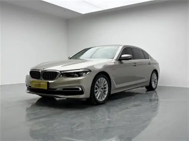 BMW 5 Series New Energy 2020 530Le Pioneer Edition