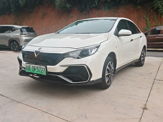 Venucia D60EV 2020 Standard Range Comfort Edition