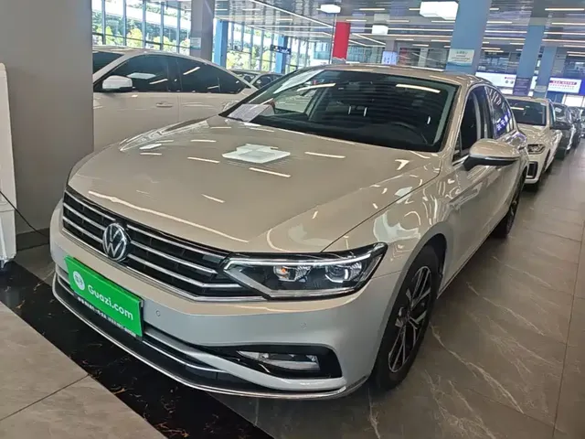 Volkswagen Magotan 2020 330TSI DSG Leading