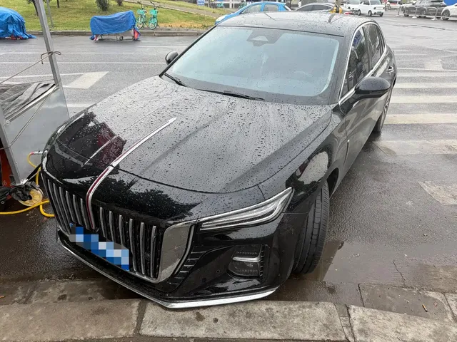 Hongqi H5 2025 2.0T Automatic Flag Celebration 500,000 Units Anniversary Edition