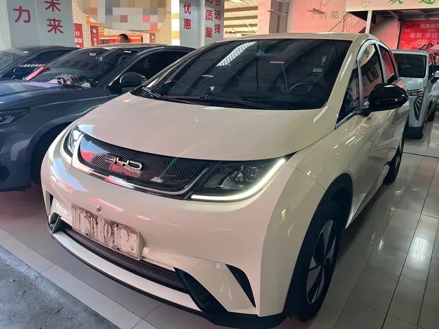 BYD Dolphin 2023 420km Freedom Edition