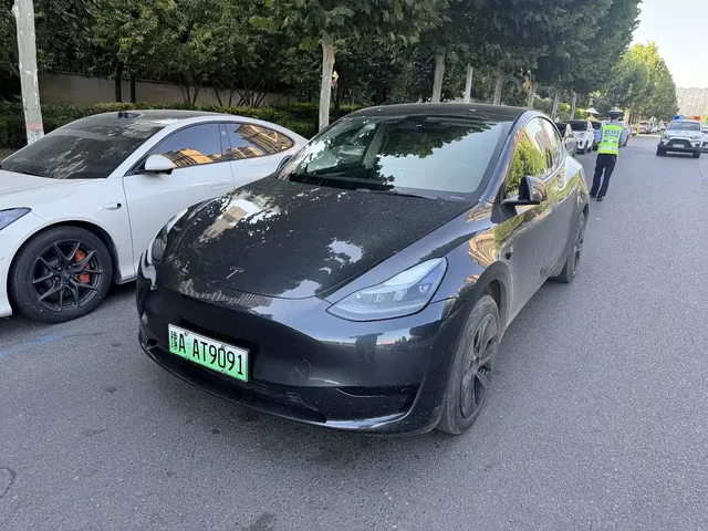 Tesla Model Y 2024 Rear-Wheel Drive Version