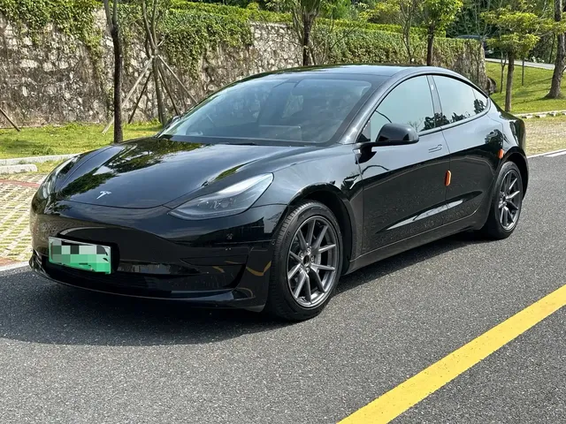 Tesla Model 3 2021 Standard Range Rear-Wheel Drive Upgrade 3D6