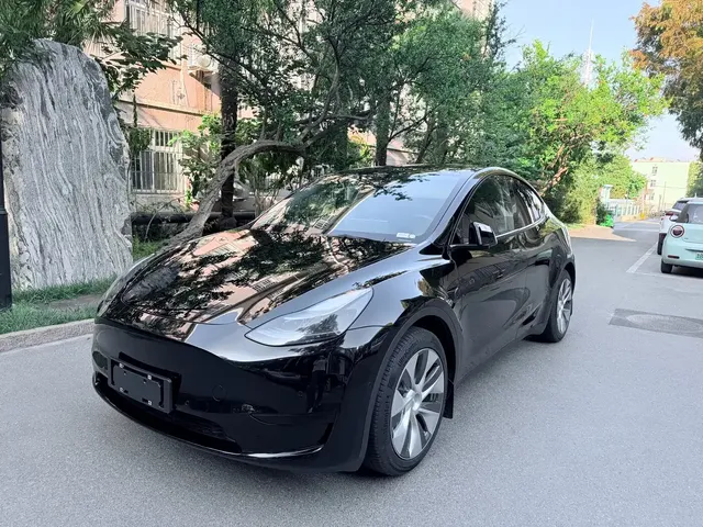 Tesla Model Y 2022 Rear-Wheel Drive Version