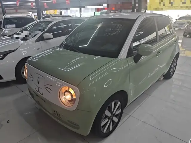 Ora Black Cat 2022 351km Standard (NMC)