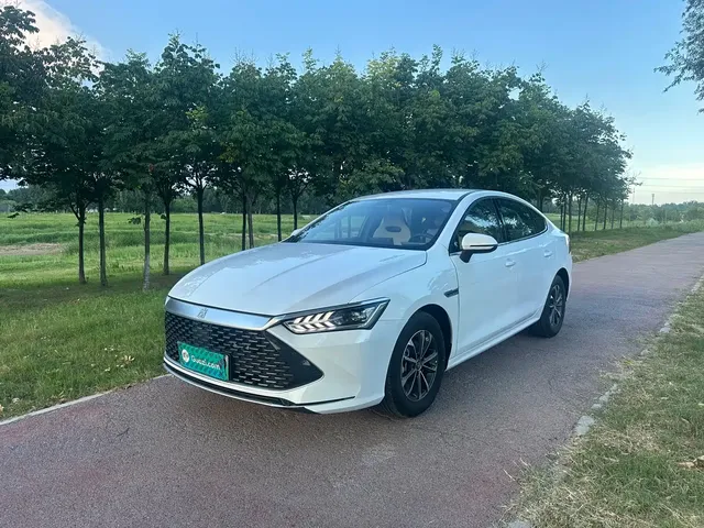 BYD Qin PLUS 2024 Glory Edition DM-i 55KM Leading