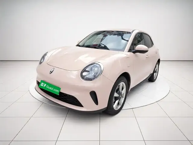 Ora Good Cat 2025 Model 430km Luxury