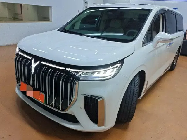 Voyah Auto Voyah Dreamer 2024 PHEV Extended Range Flagship Edition
