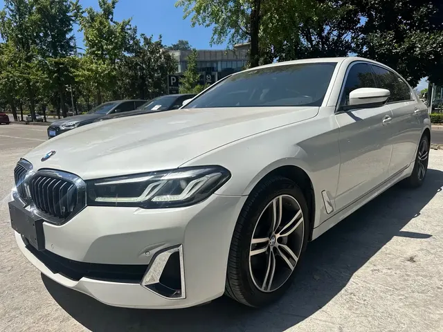BMW 5 Series 2021 530Li Leading Luxury Package