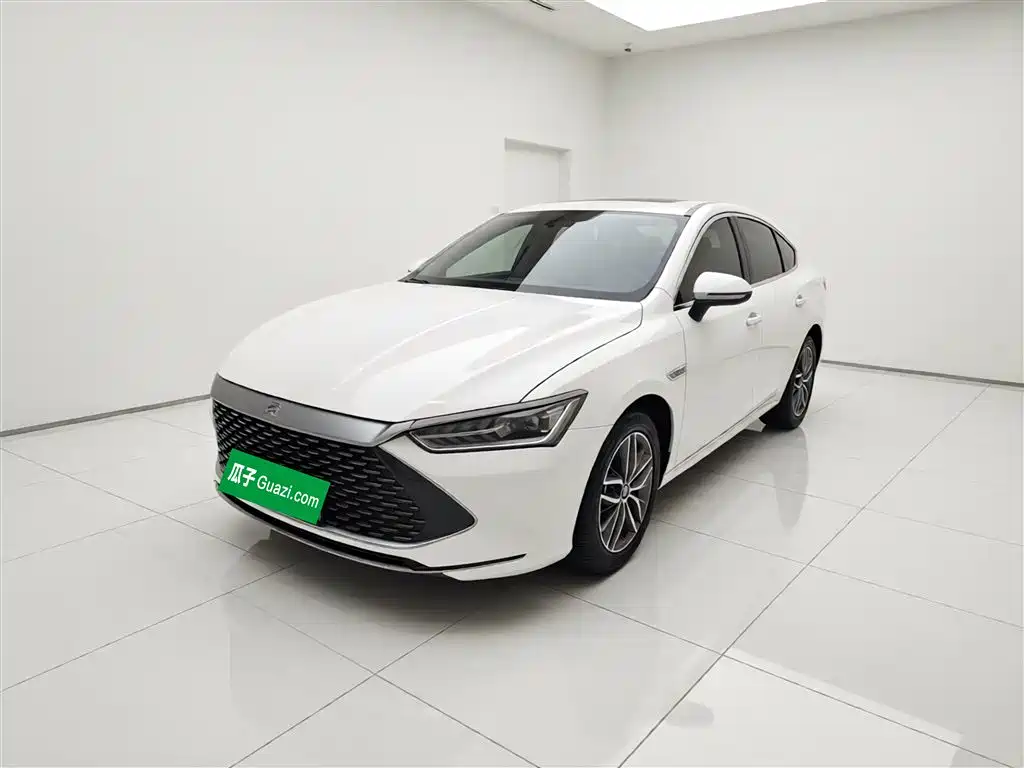 BYD Qin PLUS 2021 DM-i 55KM Flagship