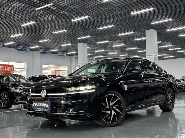 Volkswagen Magotan 2024 380TSI DSG Ultimate Edition