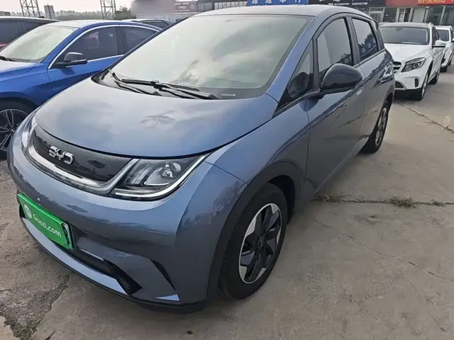 BYD Dolphin 2025 420km Freedom Edition