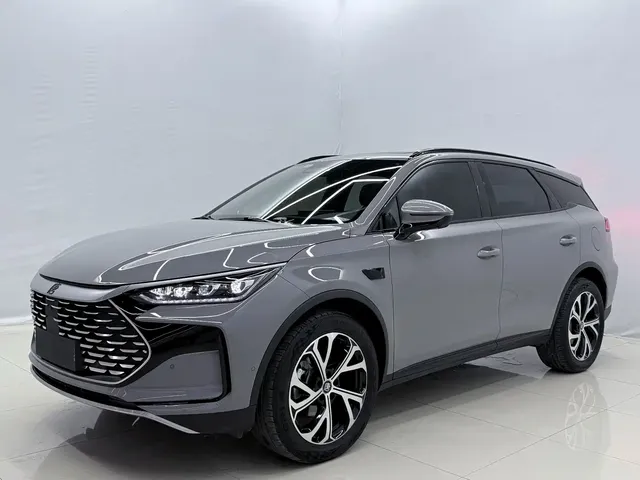 BYD Tang New Energy 2025 Smart Driving Edition DM-i 115KM Honor