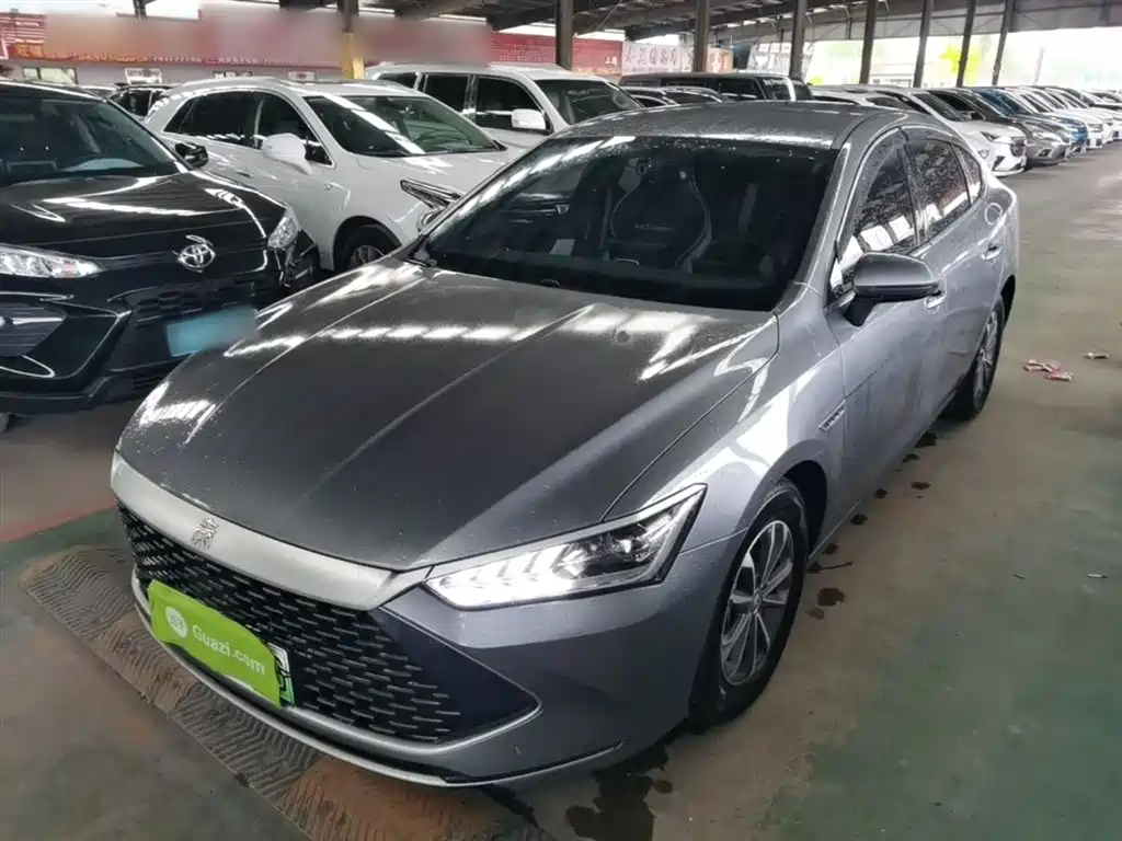 BYD Qin PLUS 2023 Champion Edition DM-i 55KM Leading