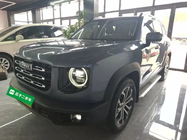 Haval Big Dog 2021 1.5T DCT 2WD Border Collie - Wangcai Edition