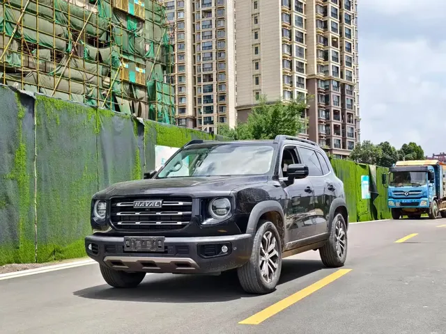 Haval Big Dog 2021 1.5T DCT 2WD Border Collie Edition
