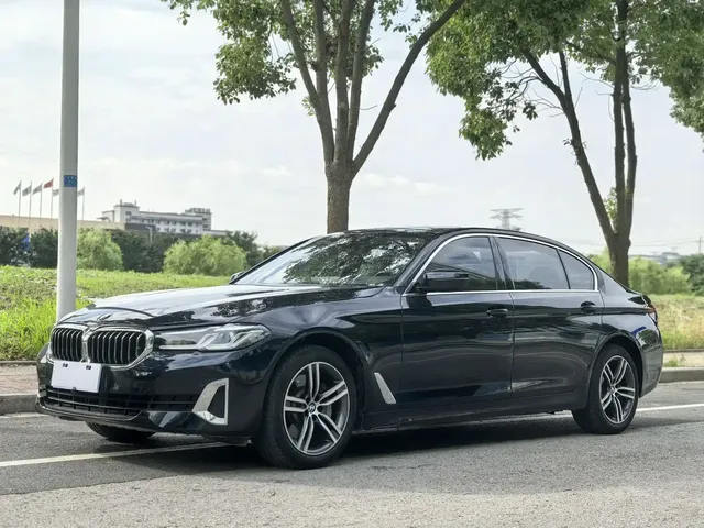 BMW 5 Series 2021 530Li Leading Luxury Package