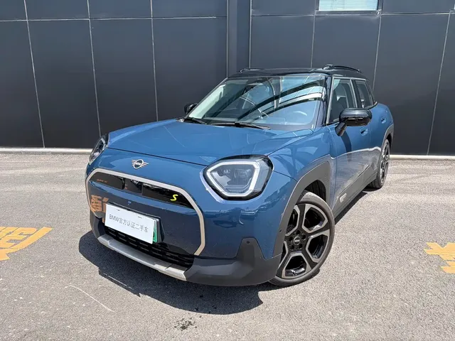 MINI Electric MINI ACEMAN 2024 Model SE Artist