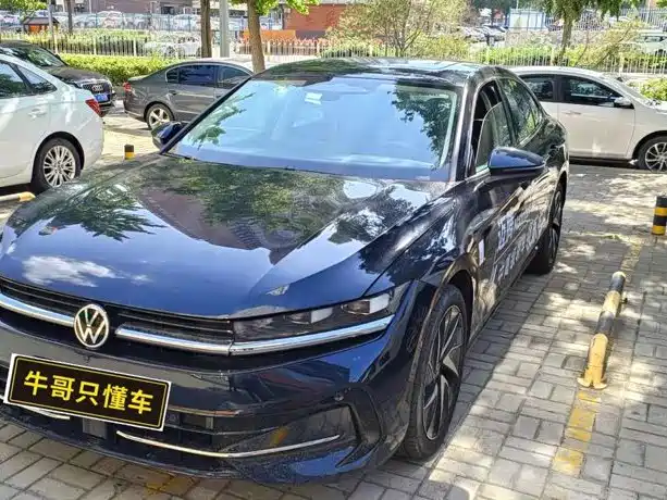 Volkswagen Magotan 2024 380TSI DSG Ultimate Edition