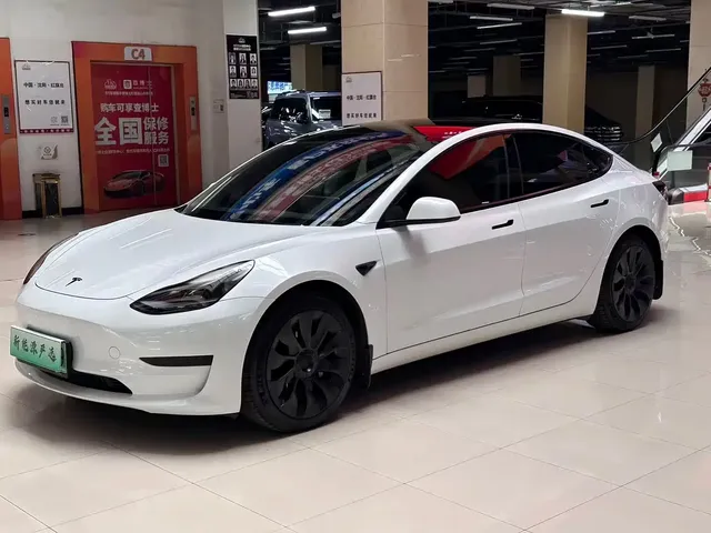 Tesla Model 3 2021 Standard Range Rear-Wheel Drive Upgrade 3D6