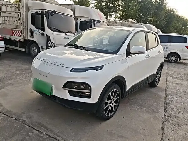 Dayun Yuehu 2021 32.85kWh 2WD Elf Edition