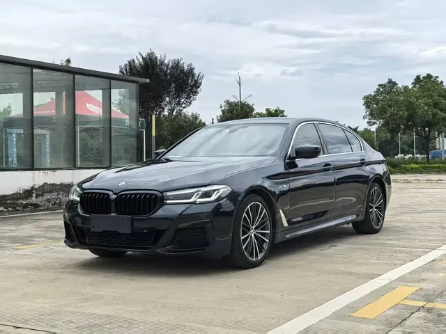 BMW 5 Series 2020 530Li Leading M Sport Package