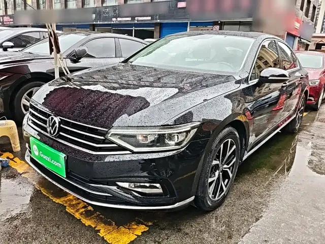 Volkswagen Magotan 2020 330TSI DSG Luxury