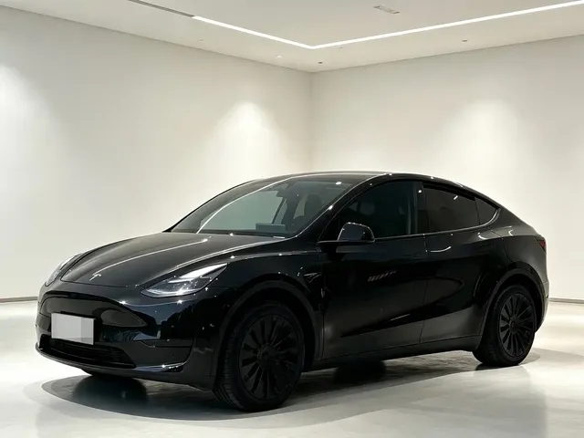 Tesla Model Y 2022 Rear-Wheel Drive Version