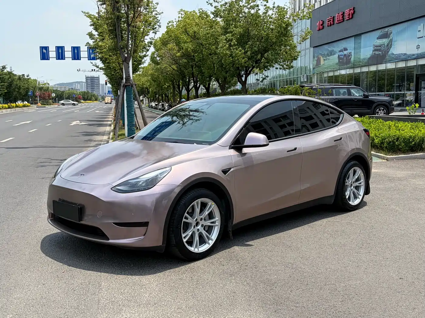 Tesla Model Y 2022 Rear-Wheel Drive Version
