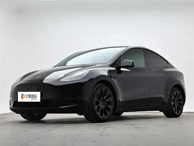 Tesla Model Y 2021 Standard Range Rear-Wheel Drive