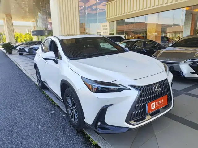 Lexus NX 2022 260 FWD Joy Creation Edition