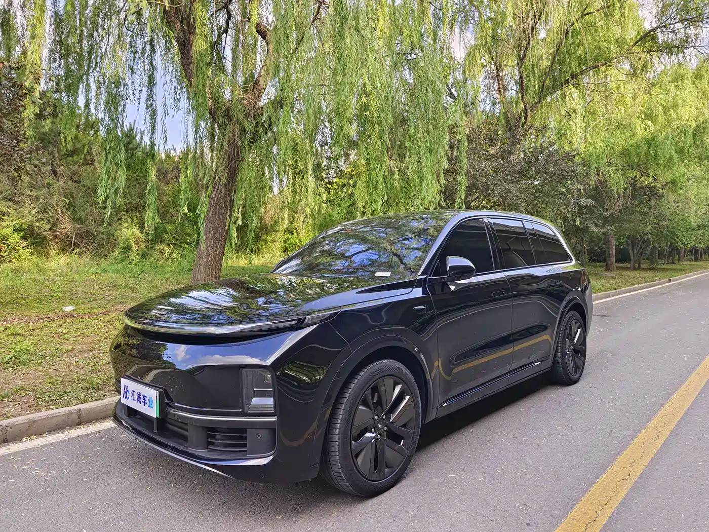 Li Auto Li Xiang L9 2023 Model Pro