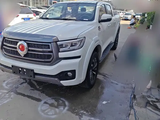Great Wall Pao 2024 Model 2.4T Passenger Version Automatic Diesel 4WD Comfort Type