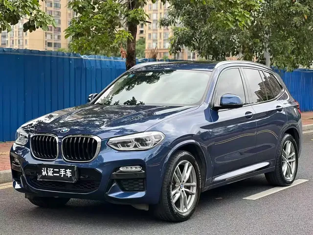 BMW X3 2018 xDrive25i M Sport Package China V