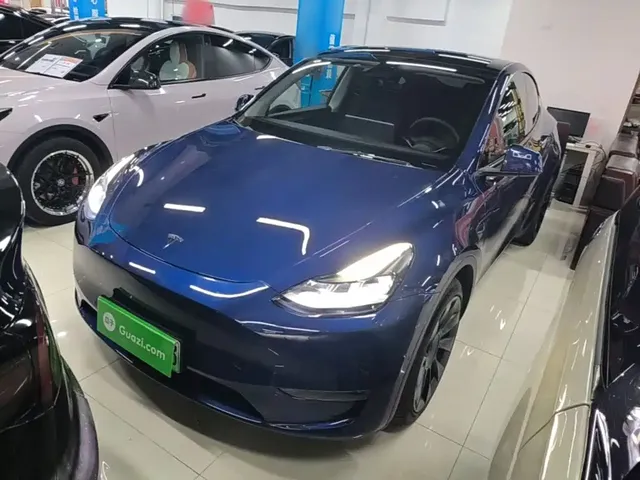 Tesla Model Y 2021 Long Range All-Wheel Drive 3D7