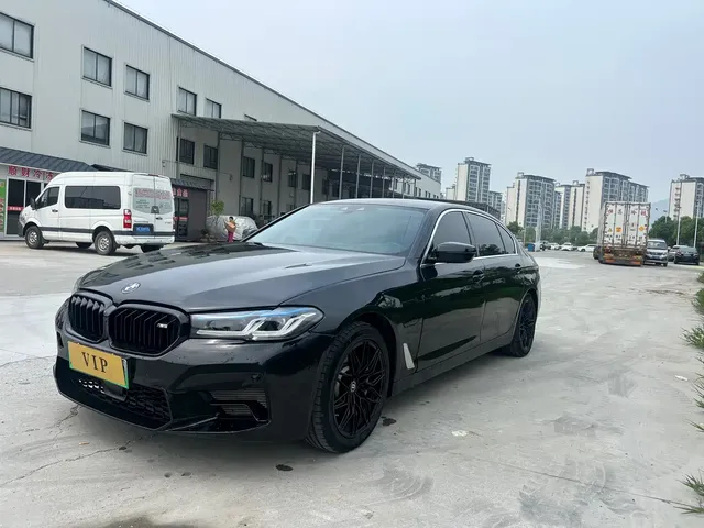 BMW 5 Series New Energy 2020 530Le Luxury Package