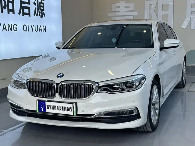 BMW 5 Series New Energy 2019 530Le Luxury Package