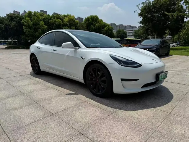 Tesla Model 3 2019 Standard Range Rear-Wheel Drive Upgrade
