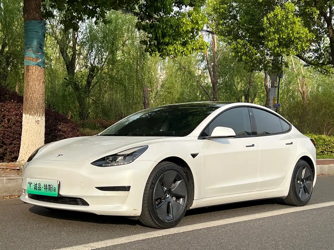 Tesla Model 3 2021 Standard Range Rear-Wheel Drive Upgrade