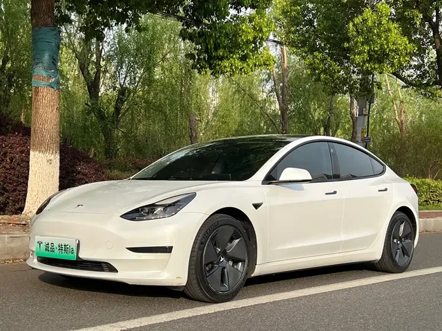 Tesla Model 3 2021 Standard Range Rear-Wheel Drive Upgrade
