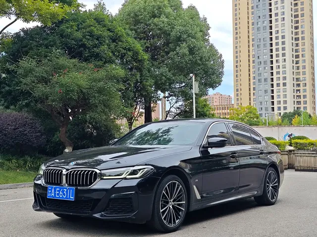 BMW 5 Series 2022 530Li Leading Luxury Package