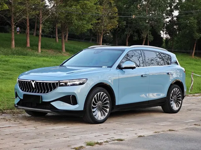 Voyah Auto VOYAH FREE 2021 2WD Standard Pure Electric Urban Edition
