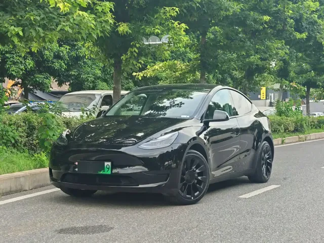 Tesla Model Y 2022 Rear-Wheel Drive Version