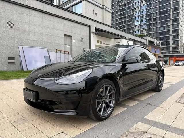 Tesla Model 3 2021 Standard Range Rear-Wheel Drive Upgrade 3D6