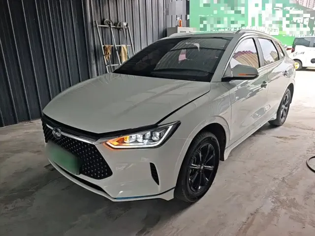 BYD e2 2020 Upgraded Long Range Luxury