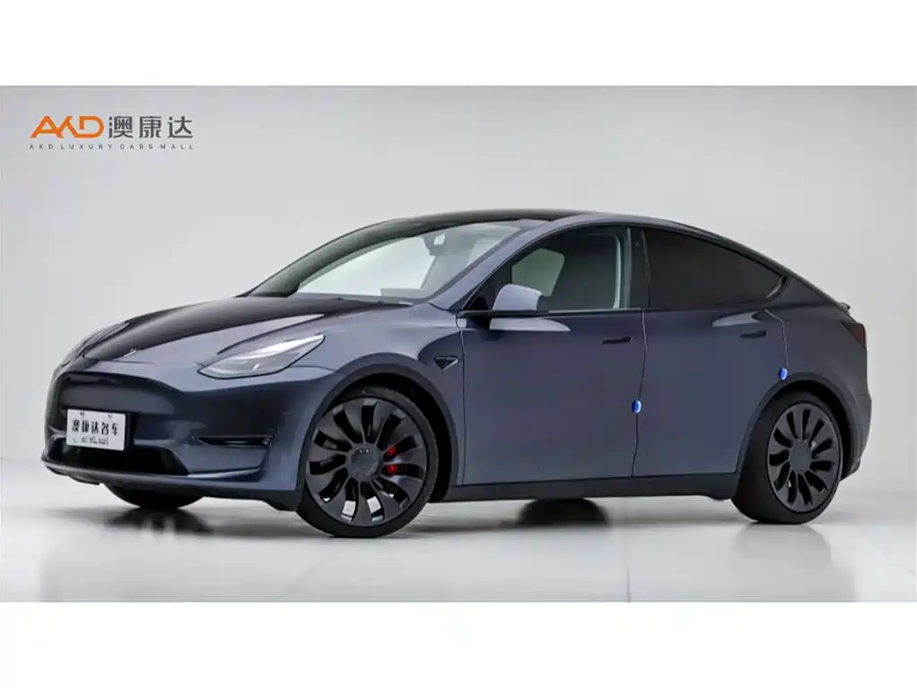 Tesla Model Y 2021 Performance High-Performance AWD