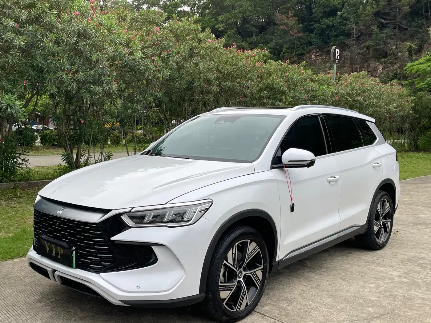 BYD Song Pro New Energy 2024 Glory Edition DM-i 71KM Pilot