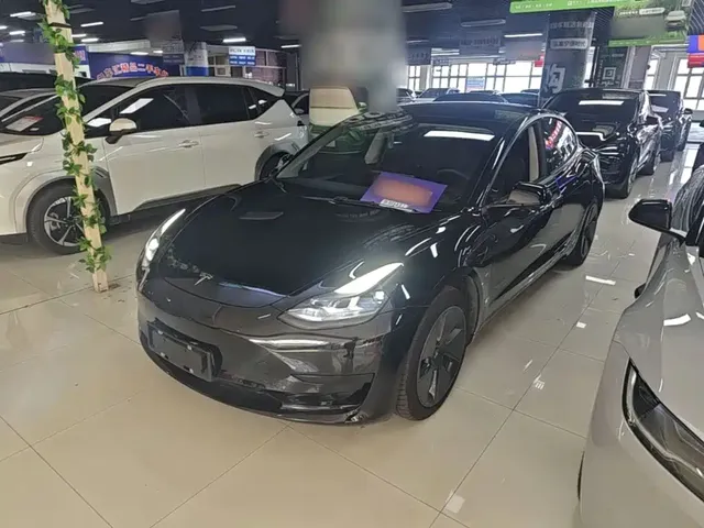 Tesla Model 3 2022 Model Rear-Wheel Drive Version