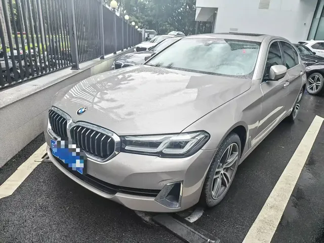 BMW 5 Series 2021 530Li Leading Luxury Package